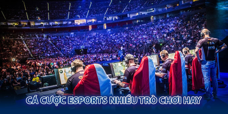 Cá cược esports W88 đầy thú vị cùng 4 sảnh game chất lượng